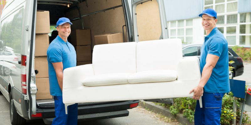 professional movers and moving services